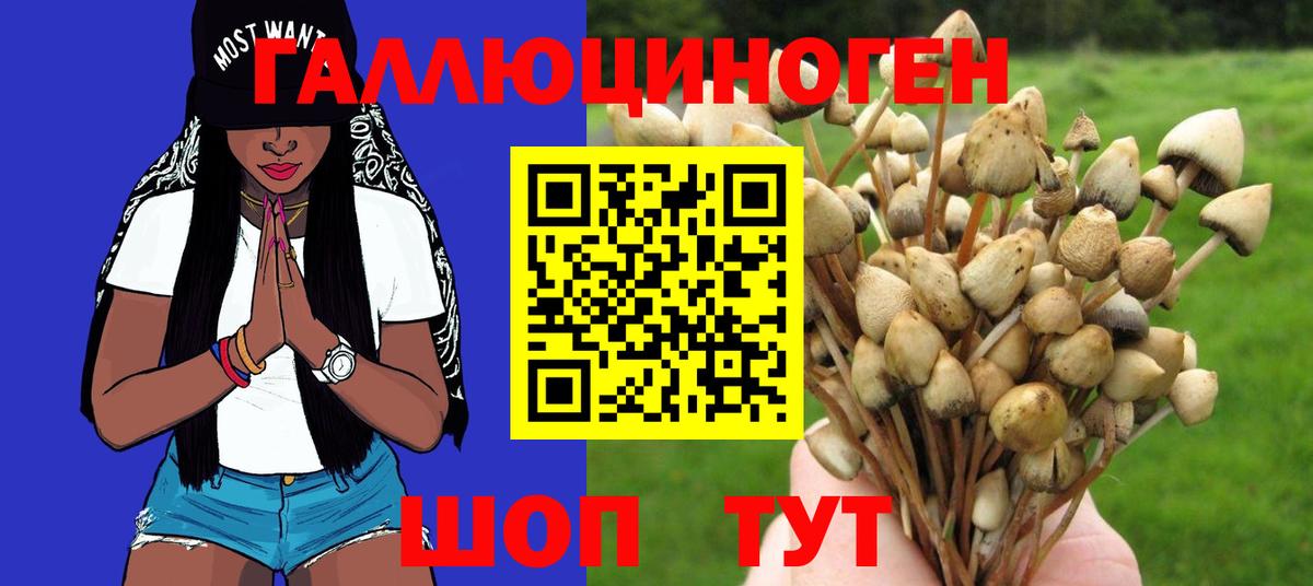 Псилоцибиновые грибы Magic Shrooms  Вход с VPN  Рубцовск 